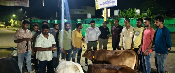 ବଲାଙ୍ଗିର ଜିଲ୍ଲା ପୋଲିସ, କର୍ତ୍ତବ୍ୟ ଫାଉଣ୍ଡେସନ ଏବଂ ବିଜେପି ଯୁବ ମୋର୍ଚ୍ଚାଙ୍କ ମିଳିତ ଉଦ୍ୟମରେ ଗାଈମାନଙ୍କ ବେକରେ ରେଡିୟମ ବେଲ୍ଟ ବାନ୍ଧିବା କାର୍ଯ୍ୟ ବଲାଙ୍ଗିର ରେ ଚାଲିଛି