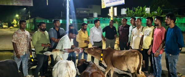 ବଲାଙ୍ଗିର ଜିଲ୍ଲା ପୋଲିସ, କର୍ତ୍ତବ୍ୟ ଫାଉଣ୍ଡେସନ ଏବଂ ବିଜେପି ଯୁବ ମୋର୍ଚ୍ଚାଙ୍କ ମିଳିତ ଉଦ୍ୟମରେ ଗାଈମାନଙ୍କ ବେକରେ ରେଡିୟମ ବେଲ୍ଟ ବାନ୍ଧିବା କାର୍ଯ୍ୟ ବଲାଙ୍ଗିର ରେ ଚାଲିଛି