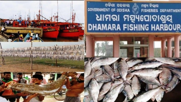 RAPTANI VITIKA MACHA UPTADANA GURUTWA RAPTANI VITIKA MACHA UPTADANA GURUTWA