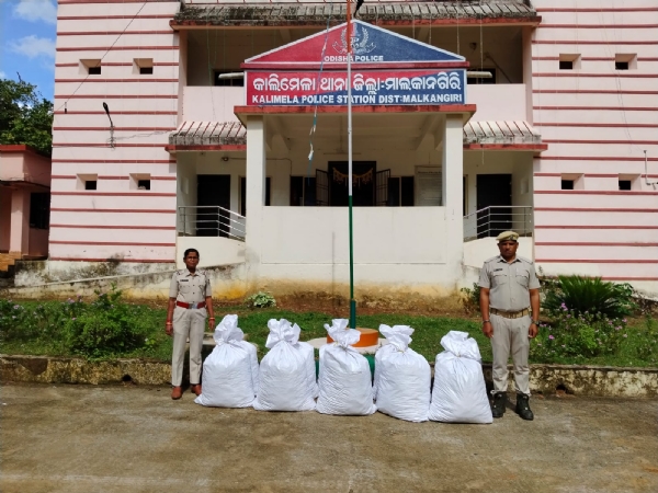 ୨୫୦ କେଜି ଗଞ୍ଜେଇ ଜବତ ୨୫୦ କେଜି ଗଞ୍ଜେଇ ଜବତ