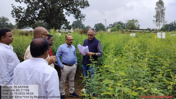 ବଲାଙ୍ଗିର ହେବ ହରଡ ବିହନ ଉତ୍ପାଦନର ଅଗ୍ରଣି ଜିଲ୍ଲା ବଲାଙ୍ଗିର ହେବ ହରଡ ବିହନ ଉତ୍ପାଦନର ଅଗ୍ରଣି ଜିଲ୍ଲା