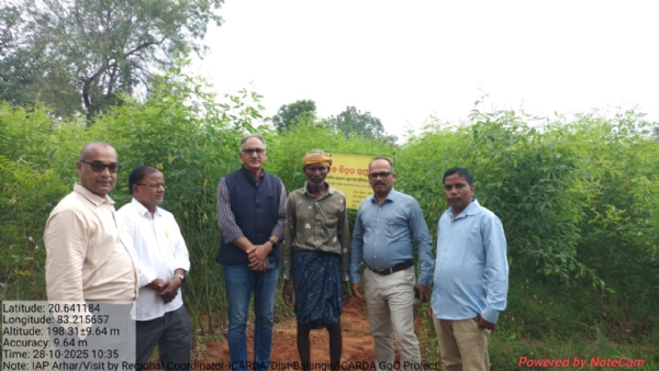 ବଲାଙ୍ଗିର ହେବ ହରଡ ବିହନ ଉତ୍ପାଦନର ଅଗ୍ରଣି ଜିଲ୍ଲା ବଲାଙ୍ଗିର ହେବ ହରଡ ବିହନ ଉତ୍ପାଦନର ଅଗ୍ରଣି ଜିଲ୍ଲା