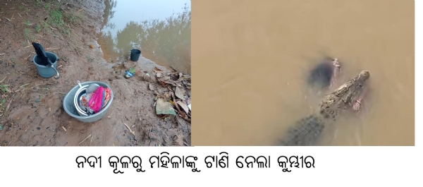 ନଦୀ କୂଳରୁ ମହିଳାଙ୍କୁ ଟାଣି ନେଲା କୁମ୍ଭୀର : ଉଦ୍ଧାର କାର୍ଯ୍ୟ ଜାରି