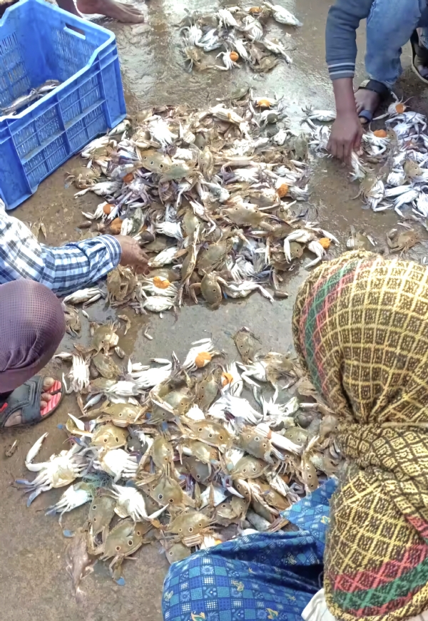 ଏଥର ମାଡ୍ ଖାଇବ ଛାଡଖାଇ