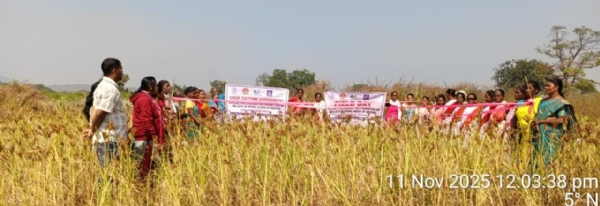 ମାଣ୍ଡିଆ ମିଶନ ବାଟବଣା : ବାରମ୍ବାର ଚାଲିଛି ନାମ ବଦଳ,  ଏନଜିଓ ଦେଉନି ଚାଷୀଙ୍କ ଚୂଡ଼ାନ୍ତ ତାଲିକା