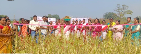 ମାଣ୍ଡିଆ ମିଶନ ବାଟବଣା : ବାରମ୍ବାର ଚାଲିଛି ନାମ ବଦଳ,  ଏନଜିଓ ଦେଉନି ଚାଷୀଙ୍କ ଚୂଡ଼ାନ୍ତ ତାଲିକା