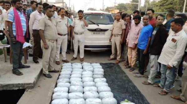 ୫୦କେଜି ଗଞ୍ଜେଇ ଜବତ,୨ଗିରଫ ୫୦କେଜି ଗଞ୍ଜେଇ ଜବତ,୨ଗିରଫ