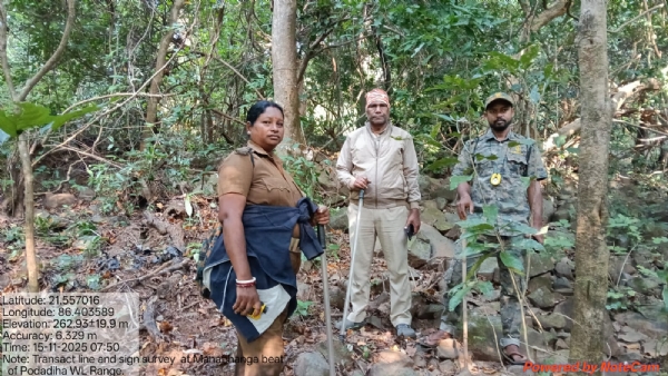 Shimilipal re Arambha Hela Bagha Ganana Shimilipal re Arambha Hela Bagha Ganana