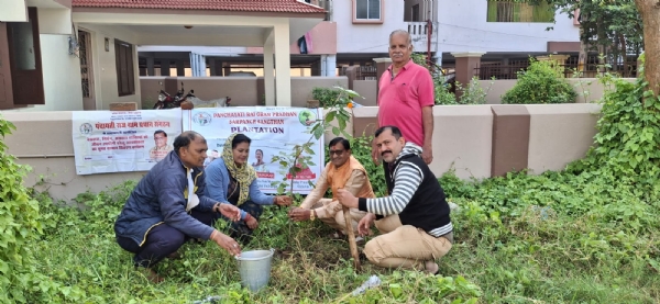 ପଞ୍ଚାୟତିରାଜ ବ୍ୟବସ୍ଥା ର ସୁଦୃଢ ପଞ୍ଚାୟତିରାଜ ବ୍ୟବସ୍ଥା ର ସୁଦୃଢ