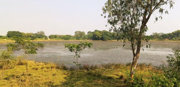 SENAPATIA POKHARI JABARDAKHAL MUKTA SENAPATIA POKHARI JABARDAKHAL MUKTA