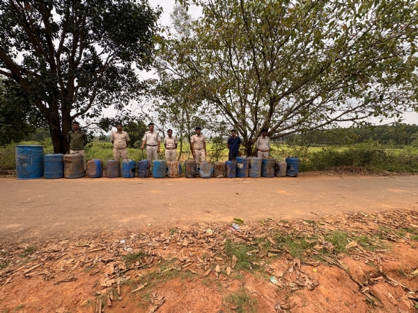 ନିଳାଗୁଡାରେ ଅବକାରି ଚଢାଉ