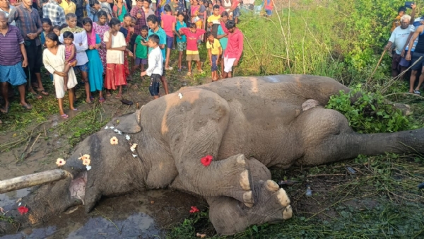 Train Dhakkare Danta Hati Mruta Train Dhakkare Danta Hati Mruta