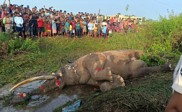 Train Dhakkare Danta Hati Mruta Train Dhakkare Danta Hati Mruta