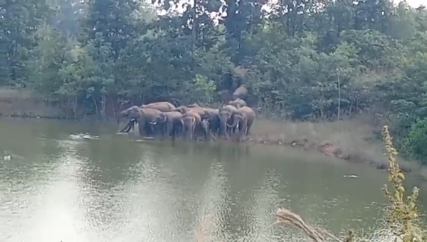 Tikhali dam re hati Tikhali dam re hati