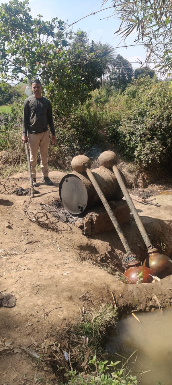 ଜଙ୍ଗଲ ରେ ଅବକାରୀ ଚଢ଼ାଉ