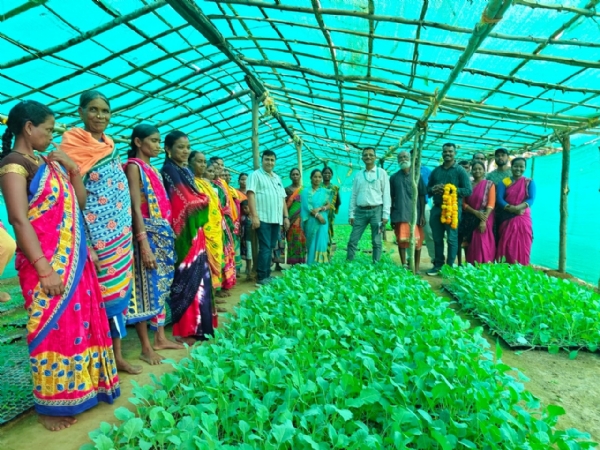 ଯୁଗ୍ମ କୃଷି ନିର୍ଦ୍ଦେଶକଙ୍କ ୨ ଦିନିଆ କୋରାପୁଟ ଓ ନବରଙ୍ଗପୁର ଗସ୍ତ: