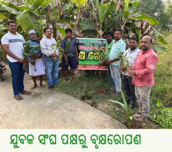 ---------ଯୁବକ ସଂଘ ପକ୍ଷରୁ ବୃକ୍ଷରୋପଣ