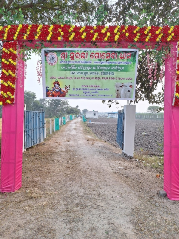 ବଳାଙ୍ଗୀରରେ ‘ଶ୍ରୀ ସୁରଭି ଗୋ ସେବା ଧାମ’ର ୨ୟ ବାର୍ଷିକ ଉତ୍ସବ ବଳାଙ୍ଗୀରରେ ‘ଶ୍ରୀ ସୁରଭି ଗୋ ସେବା ଧାମ’ର ୨ୟ ବାର୍ଷିକ ଉତ୍ସବ