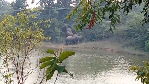 30 tikia hati pal 30 tikia hati pal