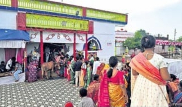 ବଡ଼ଓଷା ବଡ଼ଓଷା