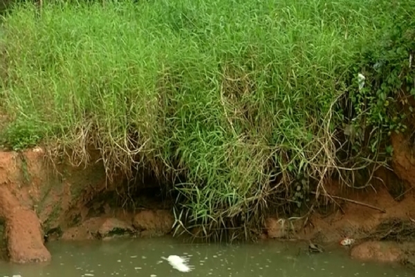 କୂଳ ଖାଉଛି ନଦୀ । ଜମି ଏବେ ନଦି ର ଆଁ ଭିତରେ ଲୋପ ପାଇବ କୂଳ ଖାଉଛି ନଦୀ । ଜମି ଏବେ ନଦି ର ଆଁ ଭିତରେ ଲୋପ ପାଇବ