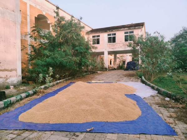 ARADI PITHA PANTHA NIVAS DHANA GODAM ARADI PITHA PANTHA NIVAS DHANA GODAM