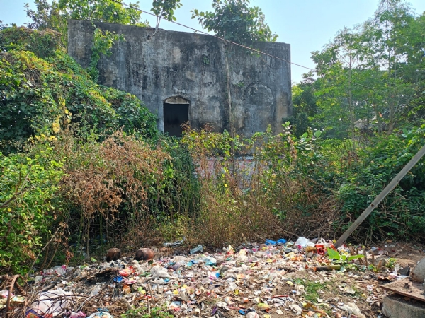 ବୋଷଛକରେ ଭୂତକୋଠି ସରୀସୃପ ଓ ମଦୁଆଙ୍କ ଆଡ୍ଡାସ୍ଥଳୀ ବୋଷଛକରେ ଭୂତକୋଠି ସରୀସୃପ ଓ ମଦୁଆଙ୍କ ଆଡ୍ଡାସ୍ଥଳୀ