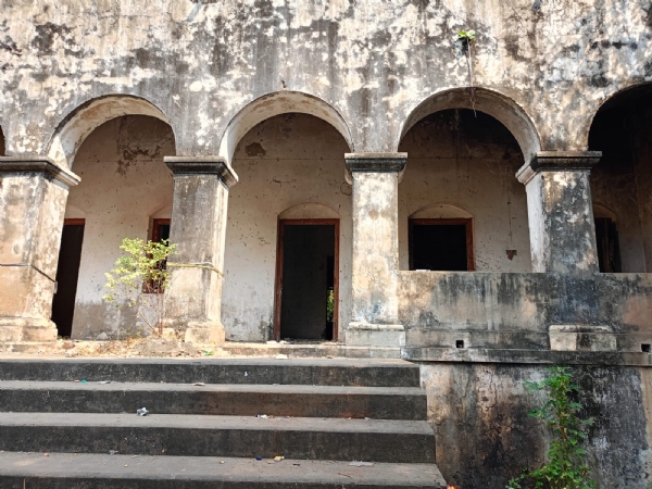 ବୋଷଛକରେ ଭୂତକୋଠି ସରୀସୃପ ଓ ମଦୁଆଙ୍କ ଆଡ୍ଡାସ୍ଥଳୀ ବୋଷଛକରେ ଭୂତକୋଠି ସରୀସୃପ ଓ ମଦୁଆଙ୍କ ଆଡ୍ଡାସ୍ଥଳୀ