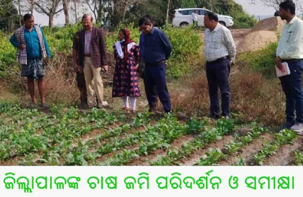ଜିଲ୍ଲାପାଳଙ୍କ ଚାଷ ଜମି ପରିଦର୍ଶନ ଓ ସମୀକ୍ଷା ଜିଲ୍ଲାପାଳଙ୍କ ଚାଷ ଜମି ପରିଦର୍ଶନ ଓ ସମୀକ୍ଷା