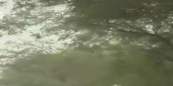 ନୋଏଡା, ଉତ୍ତର ପ୍ରଦେଶ, ଲଗାତାର ତୃତୀୟ ଦିନ ପାଇଁ ଦେଶର ସବୁଠାରୁ ପ୍ରଦୂଷିତ ସହର