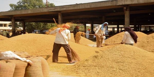 ବର୍ତ୍ତମାନ ସୁଦ୍ଧା ଉଠିଲାଣି 3 ଲକ୍ଷ 85 ହଜାର 405 ଟନ ଧାନ