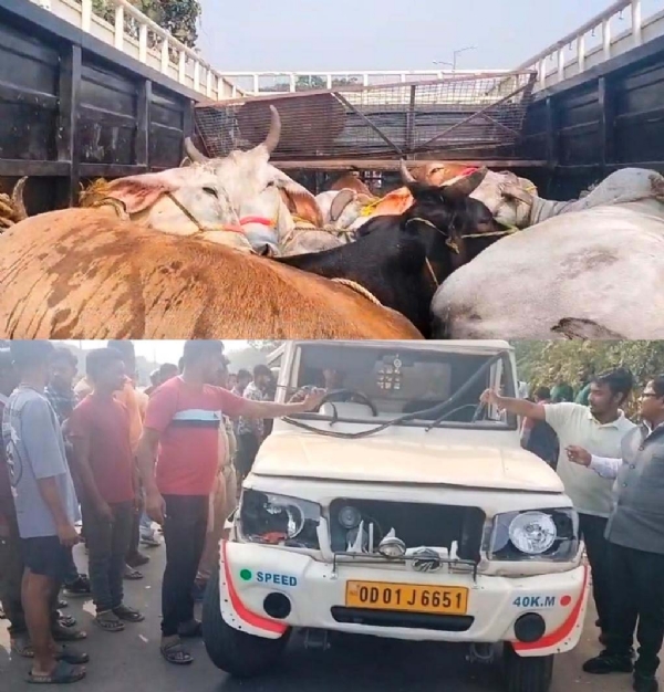 GORU GADI JABAT PHOTO