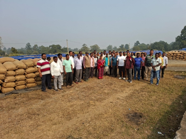 ଉଚ୍ଚକାପାଟ ଧାନ ମଣ୍ଡିରେ ଅଚଳାବସ୍ଥା, ବଢୁଛି ଚାଷୀ ଅସନ୍ତୋଷ