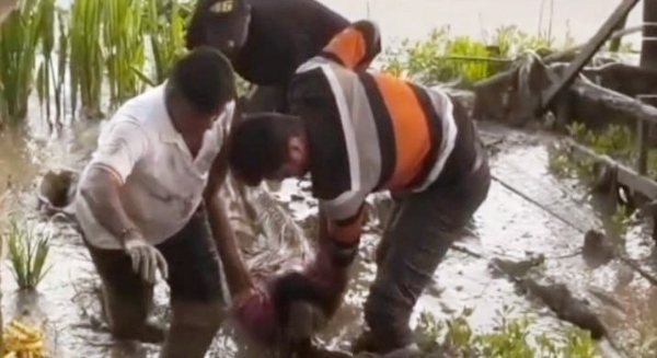 JUBATINKA ATMAHATA UDYAMA