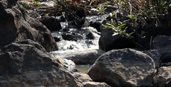 ଅବ୍ୟବସ୍ଥା କ୍ଷେତ୍ରରେ ପର୍ଯ୍ୟଟନ ସ୍ଥଳୀ ମୁଁହ ମୋଡ଼ୁଛନ୍ତି ପର୍ଯ୍ୟଟକ