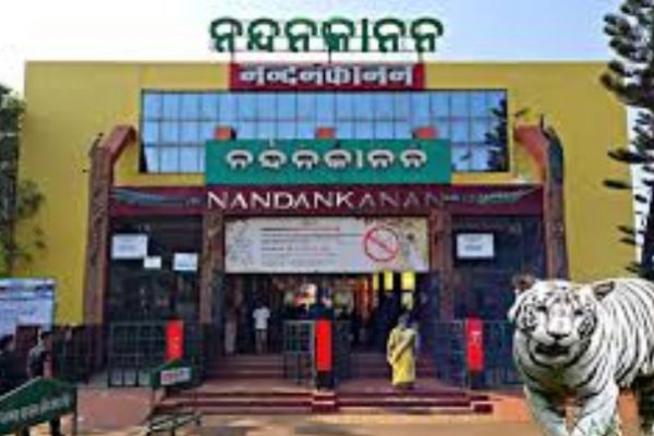 ନନ୍ଦନକାନନ