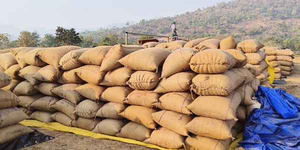 *ଜିଲ୍ଲାରେ 77 ଟି ମଣ୍ଡି ଦ୍ଵାରା ଧାନ ସଂଗ୍ରହ ପ୍ରକ୍ରିୟା ଜାରି*