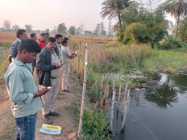 ପୋଖରୀ ପାଣିରେ ରେ ବିଷ ପ୍ରୟୋଗ,ମାଛ ଜାଆଁଳା ମରି ଭାସିଲେ