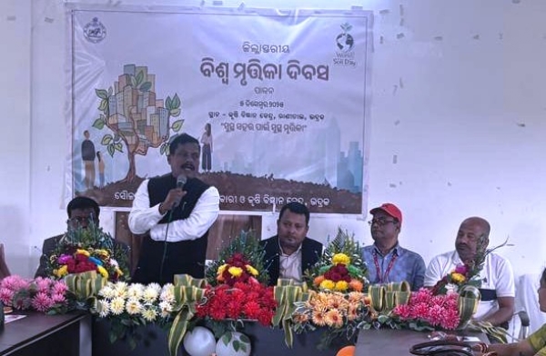 BISWA MURTIKA DIVAS PALITA BISWA MURTIKA DIVAS PALITA