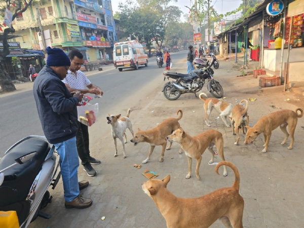 ସହଯୋଗ ଫାଉଣ୍ଡେସନ୍ ବଲାଙ୍ଗୀର ପକ୍ଷରୁ ‘ପଶୁଙ୍କ ପାଇଁ ଖାଦ୍ୟ କାର୍ଯ୍ୟକ୍ରମର ଶୁଭାରମ୍ଭ ସହଯୋଗ ଫାଉଣ୍ଡେସନ୍ ବଲାଙ୍ଗୀର ପକ୍ଷରୁ ‘ପଶୁଙ୍କ ପାଇଁ ଖାଦ୍ୟ କାର୍ଯ୍ୟକ୍ରମର ଶୁଭାରମ୍ଭ