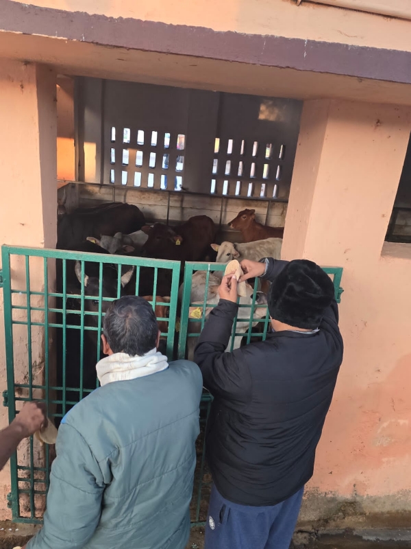 ସହଯୋଗ ଫାଉଣ୍ଡେସନ୍ ବଲାଙ୍ଗୀର ପକ୍ଷରୁ ‘ପଶୁଙ୍କ ପାଇଁ ଖାଦ୍ୟ କାର୍ଯ୍ୟକ୍ରମର ଶୁଭାରମ୍ଭ ସହଯୋଗ ଫାଉଣ୍ଡେସନ୍ ବଲାଙ୍ଗୀର ପକ୍ଷରୁ ‘ପଶୁଙ୍କ ପାଇଁ ଖାଦ୍ୟ କାର୍ଯ୍ୟକ୍ରମର ଶୁଭାରମ୍ଭ