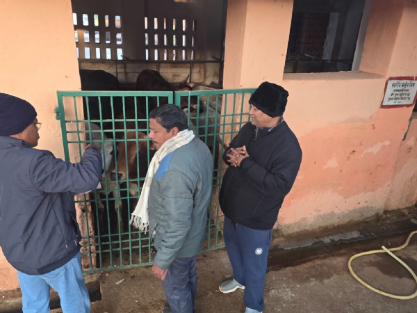 ସହଯୋଗ ଫାଉଣ୍ଡେସନ୍ ବଲାଙ୍ଗୀର ପକ୍ଷରୁ ‘ପଶୁଙ୍କ ପାଇଁ ଖାଦ୍ୟ କାର୍ଯ୍ୟକ୍ରମର ଶୁଭାରମ୍ଭ ସହଯୋଗ ଫାଉଣ୍ଡେସନ୍ ବଲାଙ୍ଗୀର ପକ୍ଷରୁ ‘ପଶୁଙ୍କ ପାଇଁ ଖାଦ୍ୟ କାର୍ଯ୍ୟକ୍ରମର ଶୁଭାରମ୍ଭ