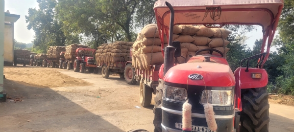 ଖରିଫ ଧାନ ସଂଗ୍ରହ ପ୍ରକ୍ରିୟା ସ୍ୱାଭାବିକ ଖରିଫ ଧାନ ସଂଗ୍ରହ ପ୍ରକ୍ରିୟା ସ୍ୱାଭାବିକ