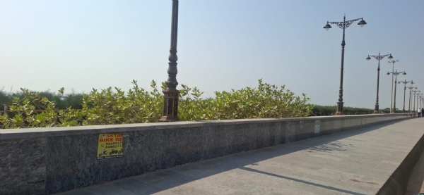 ପୁରୀ ବିଚରେ ଝାଉଁଗଛ ସହ ଲୁହାଛଡ ଗଛ ପୁରୀ ବିଚରେ ଝାଉଁଗଛ ସହ ଲୁହାଛଡ ଗଛ