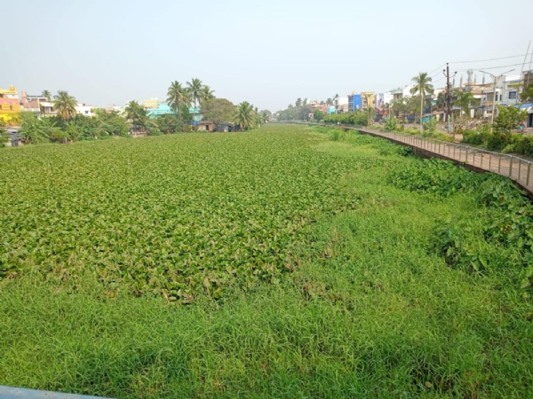 ବଦଳୁନି ମୂଷାନଈର ଭାଗ୍ୟ-୧