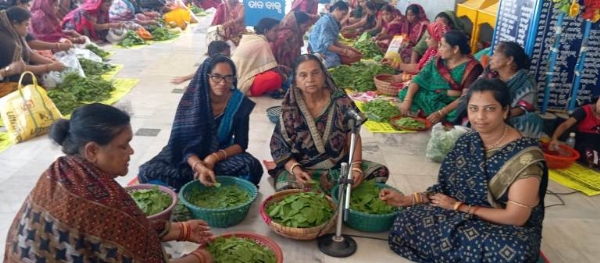 ନୃସିଂହ ଚତୁର୍ଦ୍ଦଶୀରେ ଲକ୍ଷେ ବେଲପତ୍ର ସମର୍ପଣ ସହ ପୂଜାର୍ଚ୍ଚନା