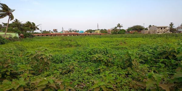 ମୂଷାନଈ ଦଳ ସଫାରେ କୋଟି କୋଟି ଟଙ୍କା ହରିଲୁଟ : ଡ୍ରେନେଜ ଓ ଓବିସିସି ହାତ ଟେକି ବସିଛନ୍ତି