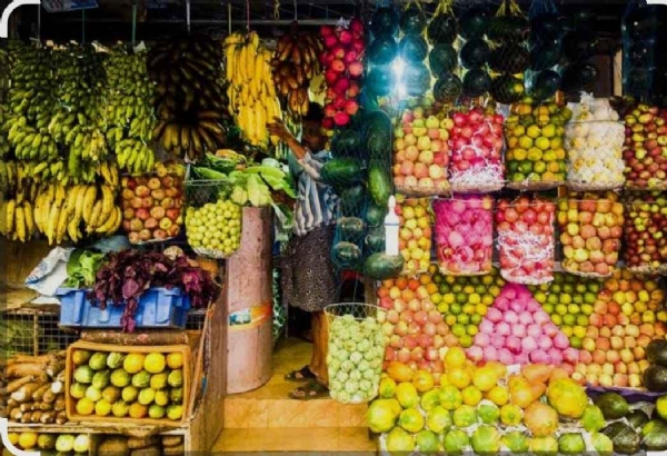ସାବିତ୍ରୀ ବ୍ରତ ପାଇଁ ଫଳଦର ଆକାଶଛୁଆଁ ସତ୍ୟବାନ ମୁଣ୍ଡରେ ଚଡ଼କ