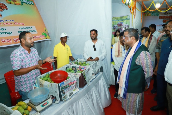 ଉଦଘାଟନ ହେଲା ଗାଁ ଆମ୍ବ ପସରା, ସମ୍ବଲପୁରରୁ ରପ୍ତାନୀ ହେଲା  ଦୁବାଇ ଓ ଇଂଲଣ୍ଡ