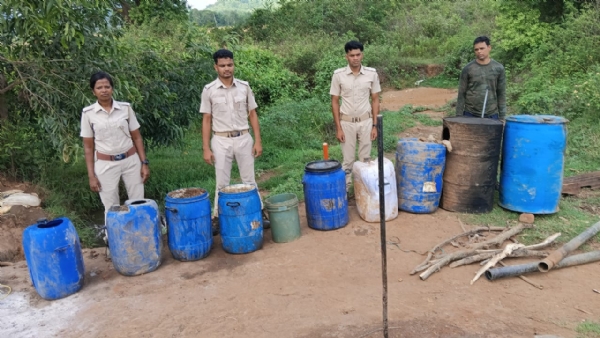 ନୀଳାଗୁଡା ଜଙ୍ଗଲ ରେ ଅବକାରୀ ଚଢ଼ାଉ